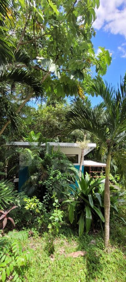 Villa Martina Palmgarden Samara Luaran gambar