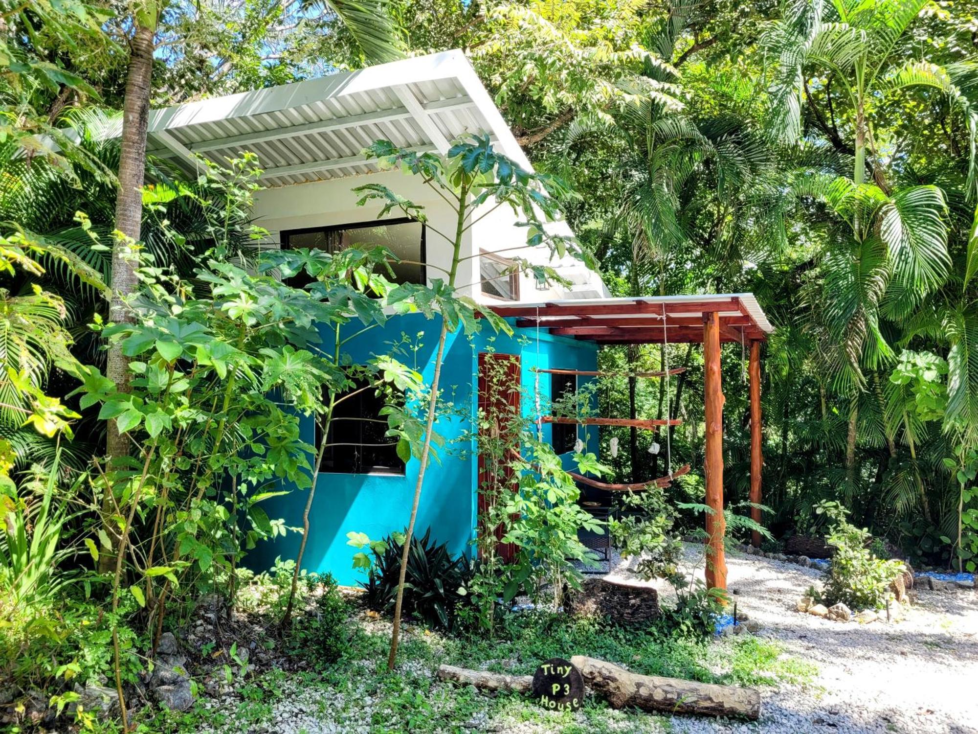 Villa Martina Palmgarden Samara Bilik gambar