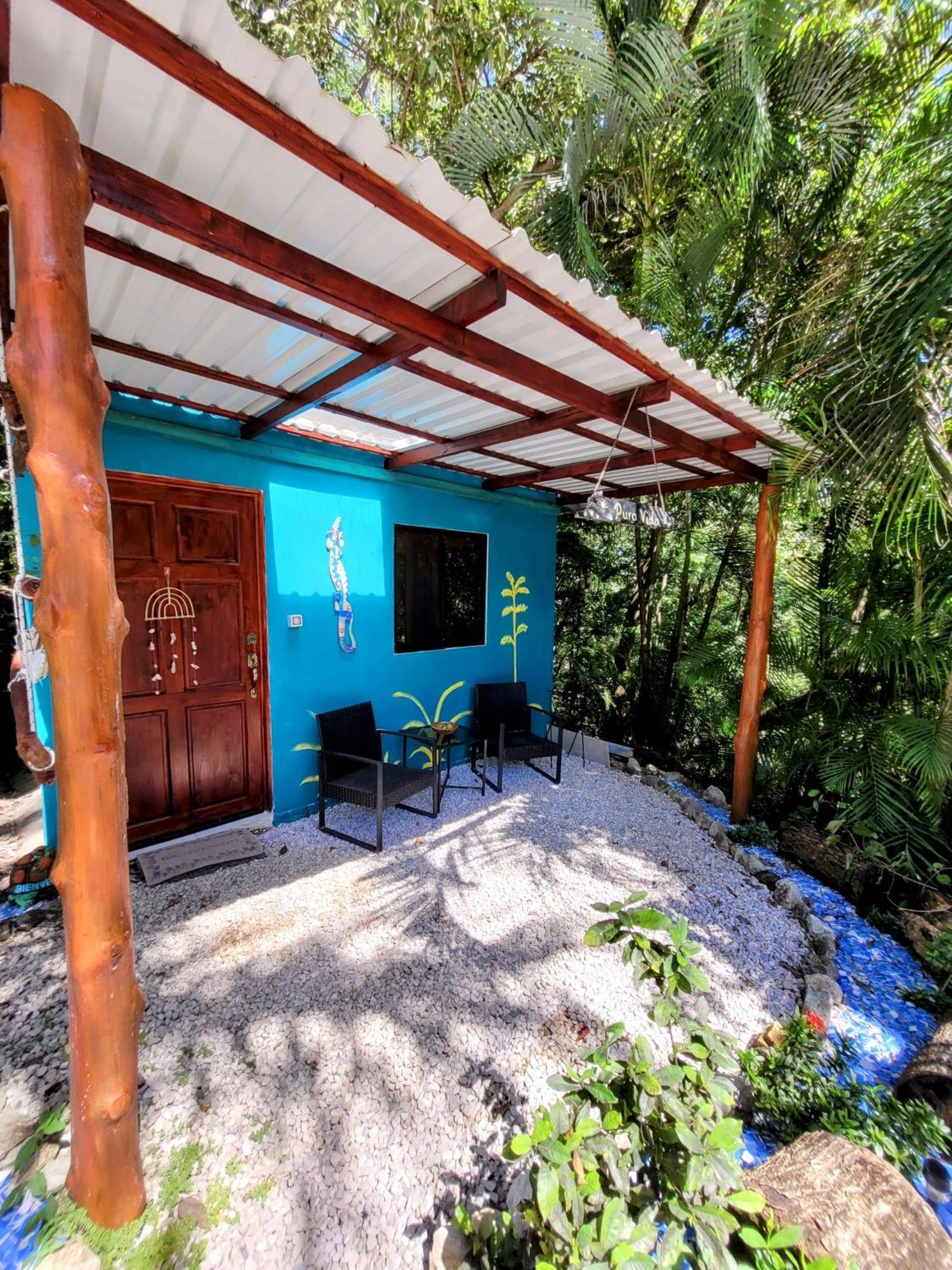 Villa Martina Palmgarden Samara Bilik gambar